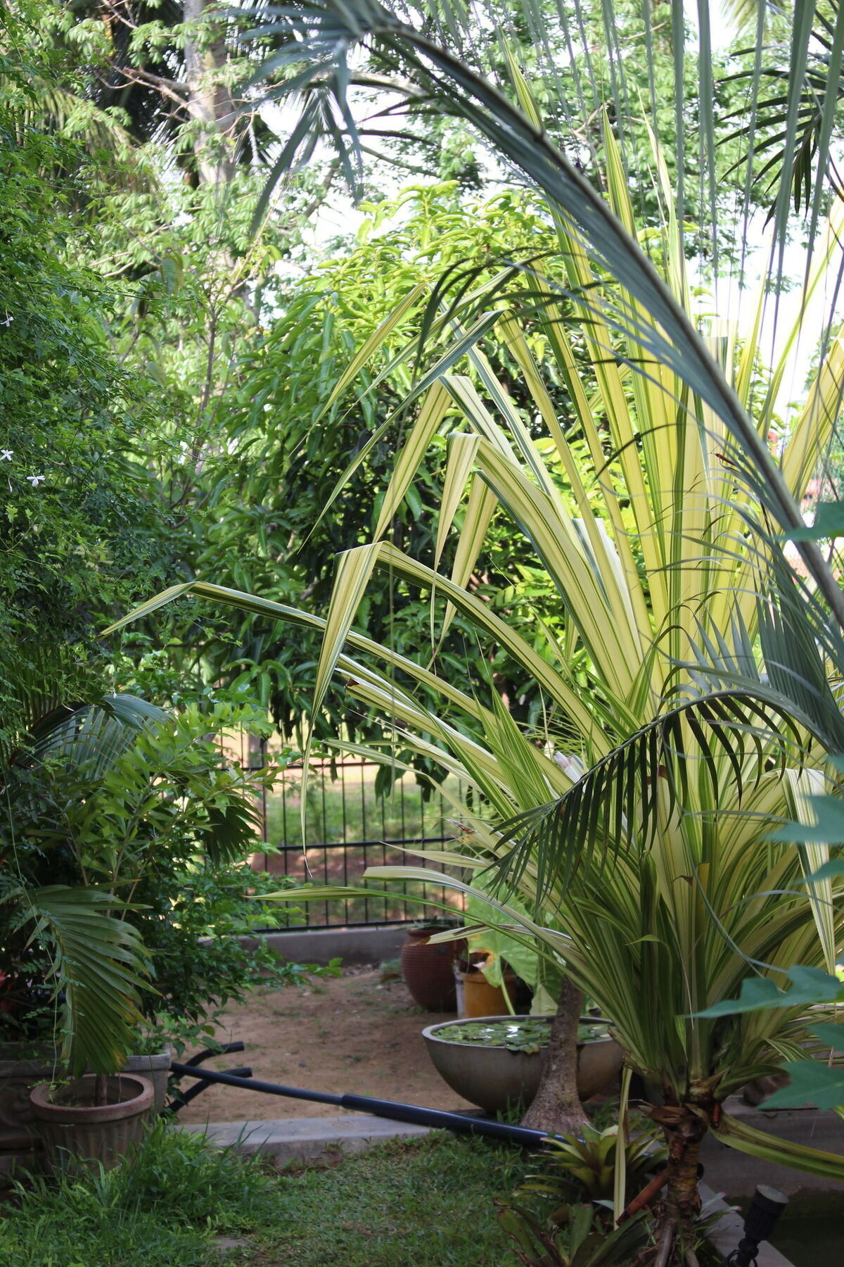 Villa Kapuru Negombo Dış mekan fotoğraf